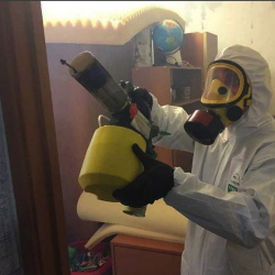 Уничтожение клопов в квартире. Бакал